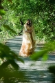 Russian brides: Tatjana ****, Chelyabinsk, Russia