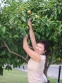 Ukrainian brides: Elena Alyokhina, Kharkov, Ukraine