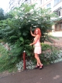 Ukrainian brides: Diana Bolshakova, Kharkov, Ukraine